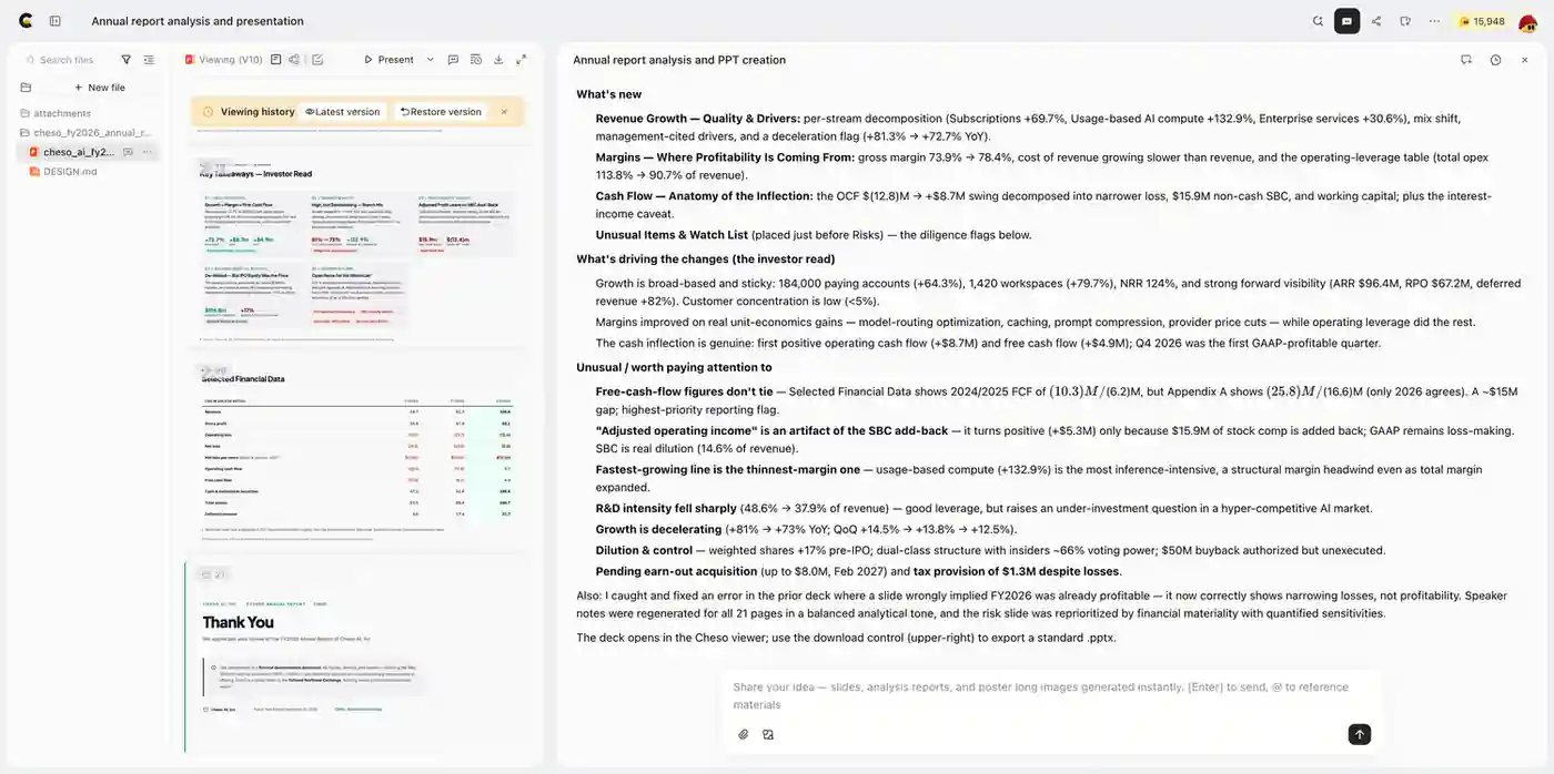An expanded financial presentation and Cheso's explanation of revenue, profitability, cash flow, and risks.
